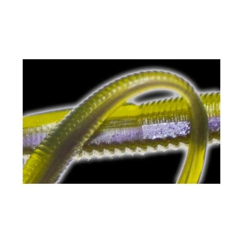 reaction-innovation-flirt-4-95_1 Reaction Innovation Flirt 4.95