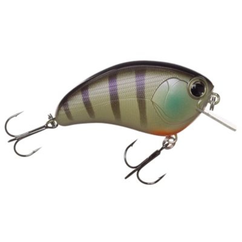 Optimum Ima Square Bill|Bluegill|Chart Shad|Black Back Chartreuse|Hush Hush