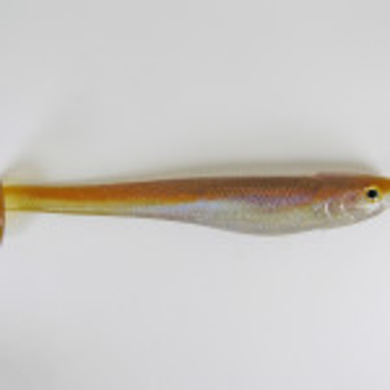 D&M Signature Swimbait|Clear Lake Hitch|Ghost Rainbow Trout|Clear Lake Hitch 2pk|Ghost Rainbow Trout 2pk|8″|7″|6″