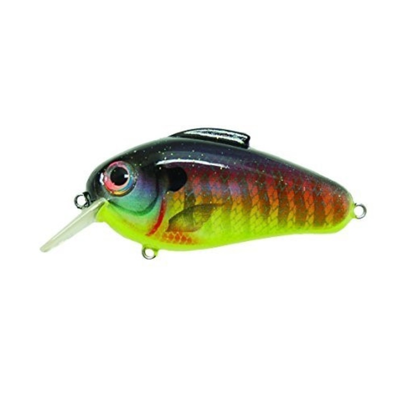 Bill Lewis – Echo|SunrisePerch|PinchnPerch|RedCrawfish