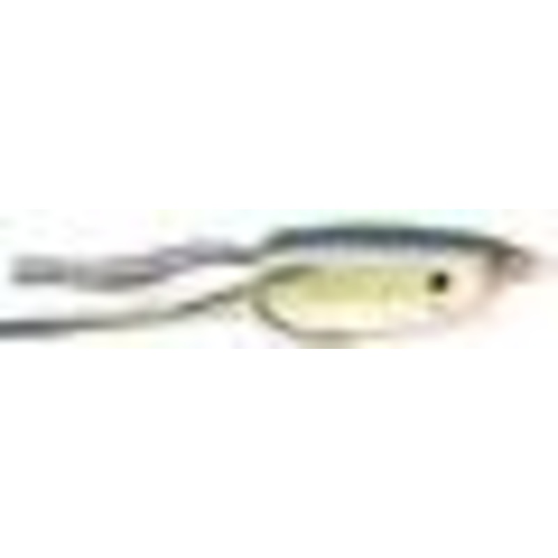 Spro Bronzeye Shad 65|Nasty Shad|Wicked Perch