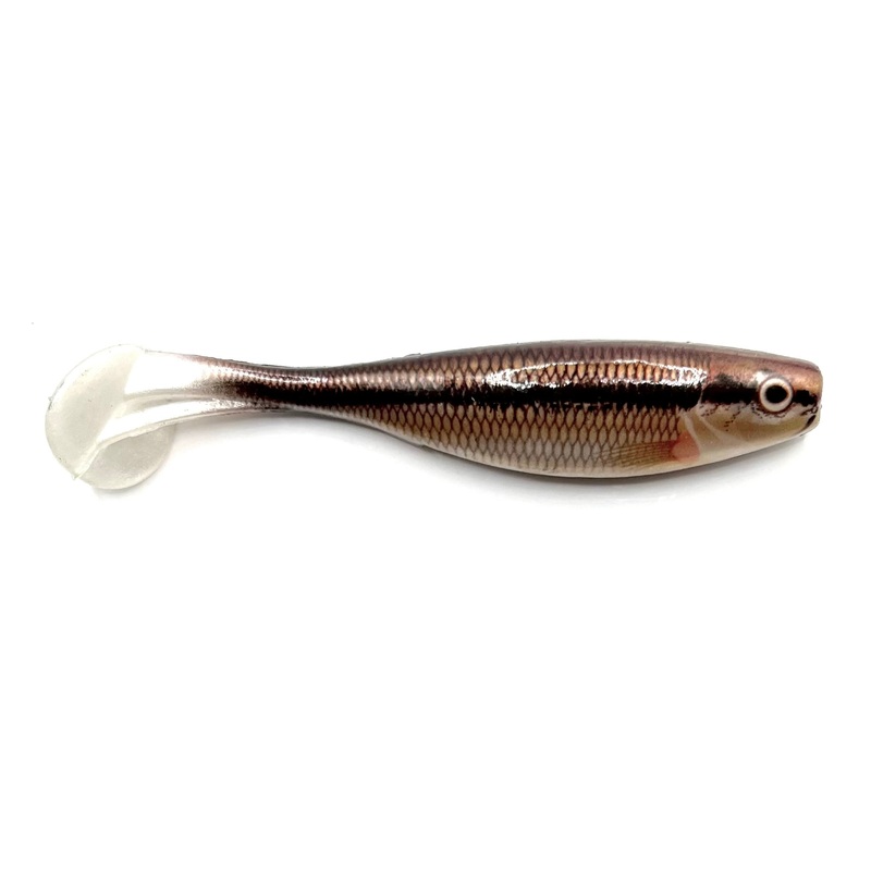 Storm Largo Shad|LIVE MINNOW|LIVE THREADFIN SHAD|4.0