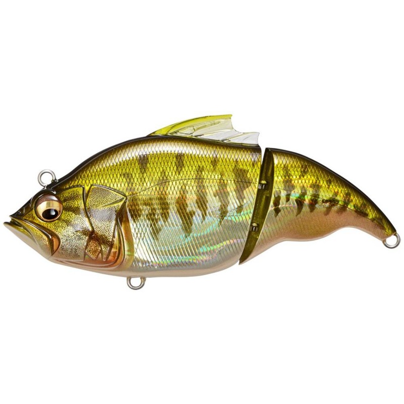 Megabass Vatalion Swimbait|GG. Bass|GG. Gill|GG. Gin Buna|GG. Kinbuna|GG.Wild Gill|Ito Cichlid|Mat Tiger|Shibukin Tiger – Respect Series