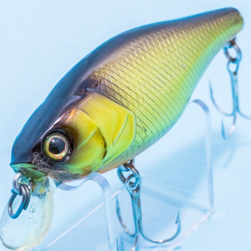 RS-100 F [Used]