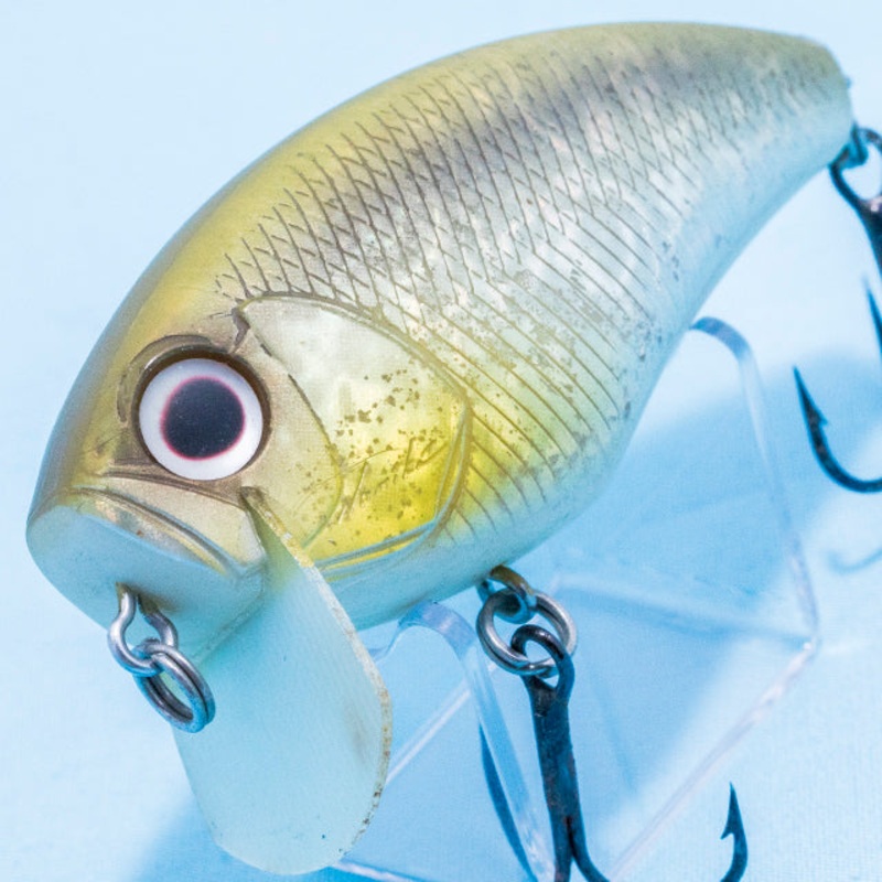 DAI BUZZN’ HEAVY HITTER [Used]