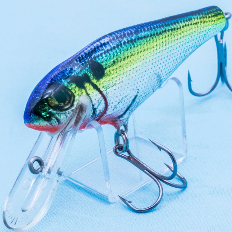 BASS-N SHAD [Used]