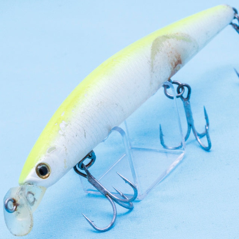 SHORE LINE SHINER R50+ SSR F-G [Used]