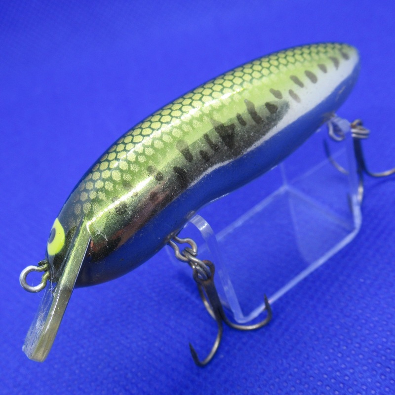 SHALLOW RABBIT [Used]