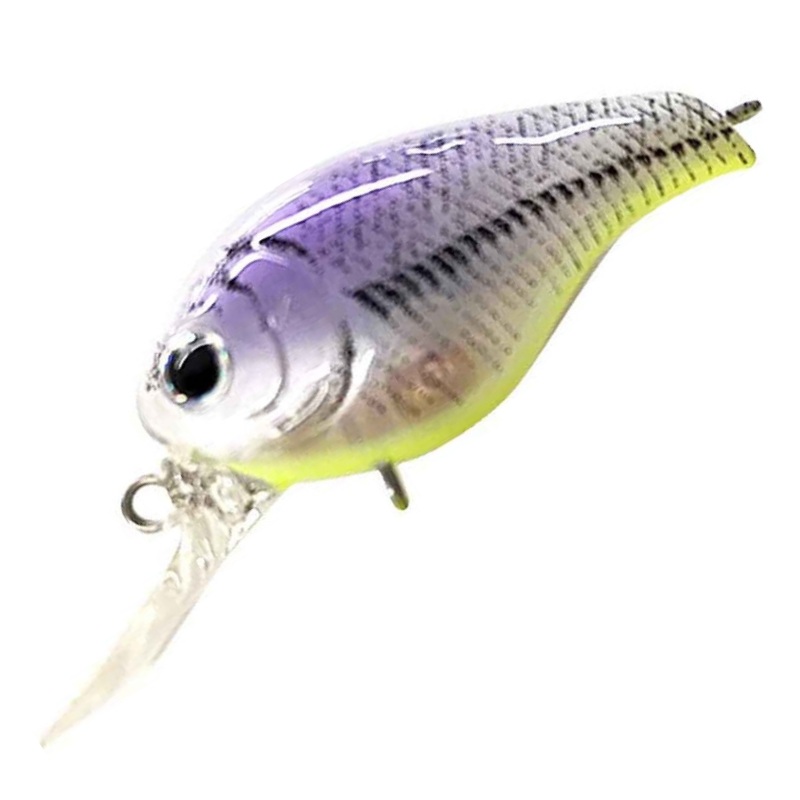 CLUTCH NV [Brand New]|REAL PURPLE CHARTREUSE WAKASAGI|REAL SANKETSU WAKASAGI|REAL WAKASAGI|REAL TANE WAKASAGI