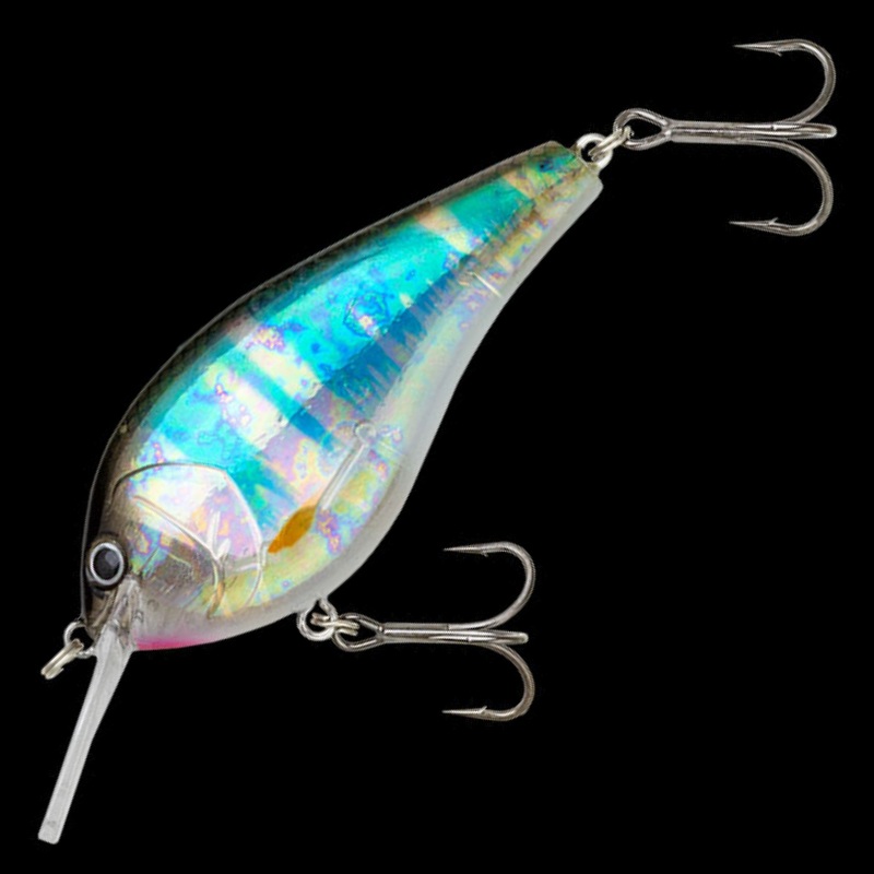 COMPLETE FLAT 68 [Brand New]|238 HALF MIRROR WAKASAGI|309 PEARL REAL GILL|339LH LAYERED HOLO OIKAWA