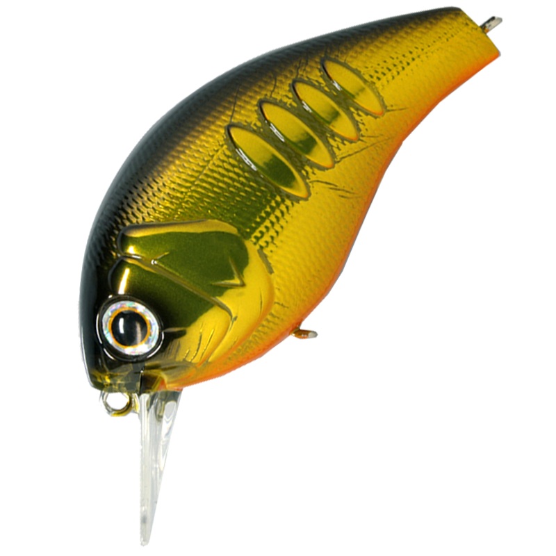 KORRIGAN MAGNUM 150 [Brand New]