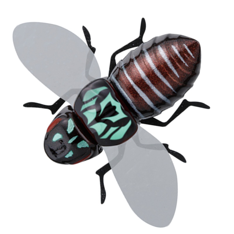 BUGDOG [Brand New]|BUG BLACK|BUG CHART|BUG PINK|BUG SKELTON|CHART BACK GHOST CICADA|GREEN KANABUN|PINK BACK CICADA|SUZUMEBACHI|UKA ZEMI|WHITE SHIRO HITORI