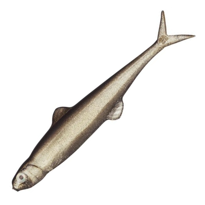 LAST ACE 75 [Brand New]||57 TRICK SHAD||26 PRO BLUE||14 AYU||41 WAKASAGI||56 RESERVOIR SHAD||55 OIKAWA||54 SKELTON CHART