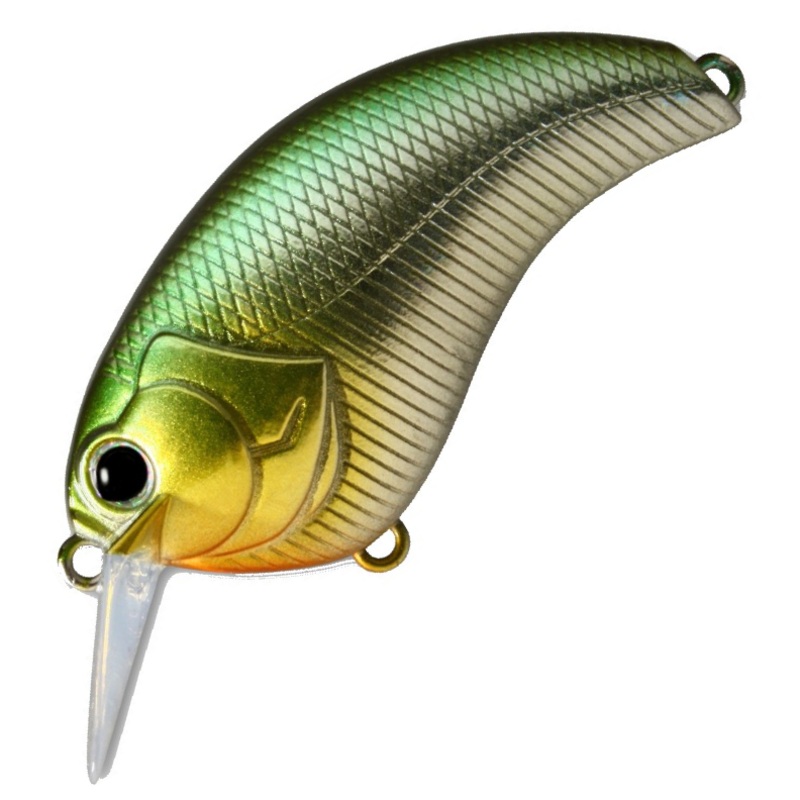 EVOKE 2.0 [Brand New]||01 KETABASU||03 NOIKE BLUEGILL||04 CHART BACK||05 RED CRAW||07 BROWN BACK CHART||10 REAL BLUEGILL||12 GOLDEN SHINNE||13 FLORIDA BLUE||14 BIWAKO CHART||15 RED CRAW CHART BELLY||17 SEXY SHAD||18 BLACK BACK SHAD||19 PINK BACK||20 BLACK