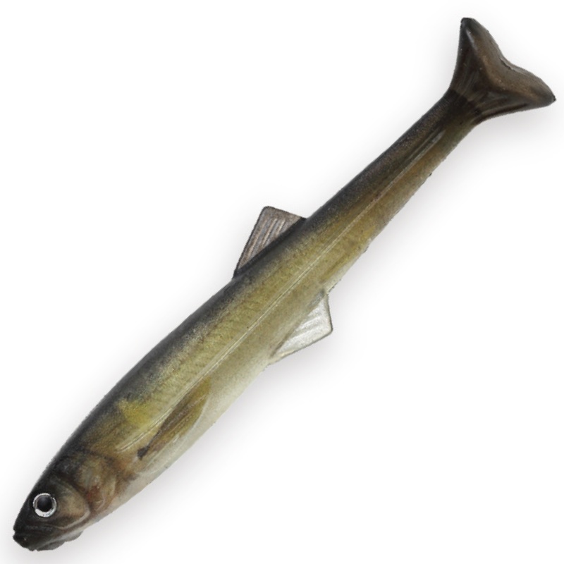 HUDDLE SWIMMER 4.0 [Brand New]