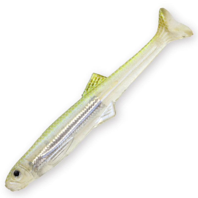 HUDDLE SWIMMER ELASTMER FLASH PLATE 4.0 [Brand New]