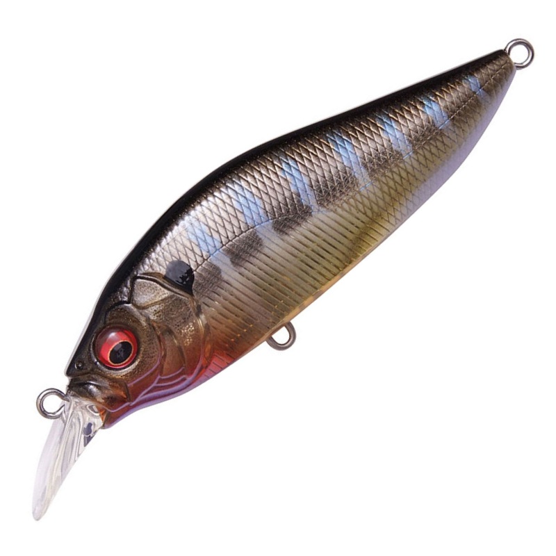 FLAP SLAP LBO [Brand New]|AL EVENING GILL|EIGHT REACTION|GG BLUEGILL|GG MEGABASS KINKURO|GHOST CHART SHAD|GLX GALAXY BLUEGILL|GP BLUE MINT SHAD|GP SPAWN KILLER|LZ BARA TANAGO|M WESTERN CLOWN|PM GHOST AYU|SEETHROUGH BLUE BACK CHARTREUSE|SEETHROUGH MAT TIGER