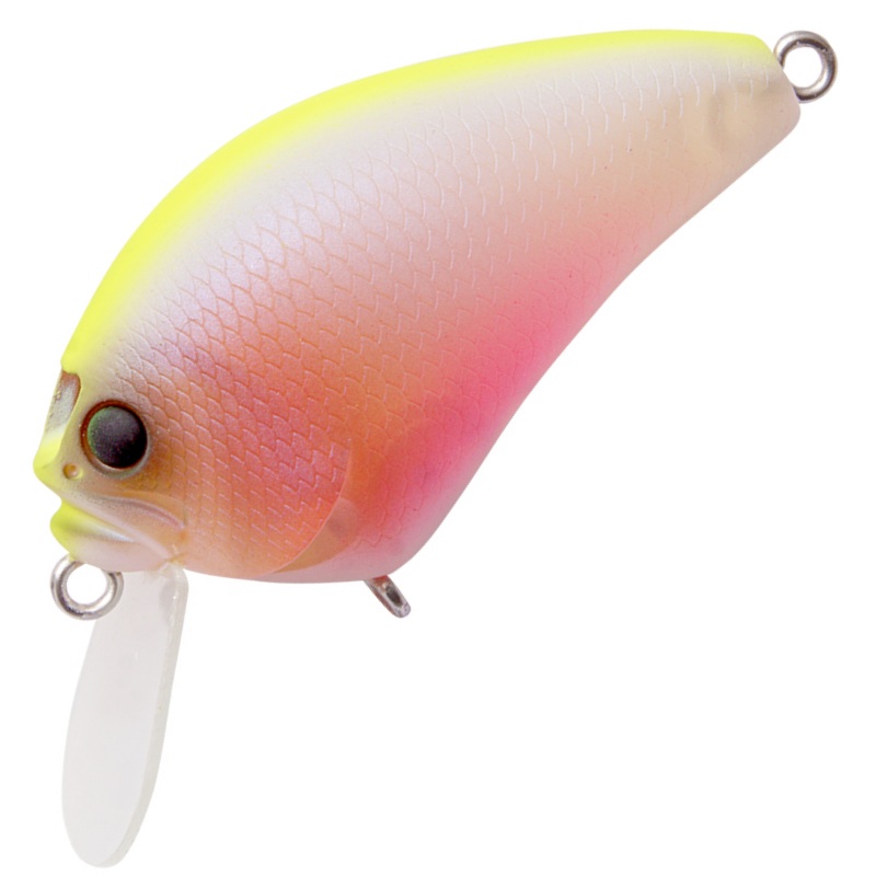 I x I BLOWLY [Brand New]|BABY KINGYO CB|BLACK BACK CHART|BLUE BACK CHARTREUSE|GC MEGABASS KINKURO|GG BASS|GG WAKASAGI|GILLKKO|IK STRONG CHART|ITO CICHLID|KASUMI ITO|MAT TIGER|MEGABASS BREAM|PM SEXY SHAD|PUMPKIN SEED|SECRET DRY ICE|SECRET NUTS BUTTER|WILD