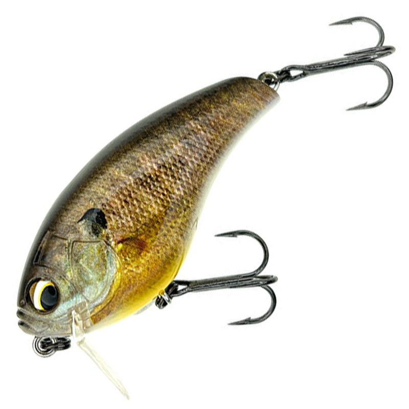 IK REVO ZERO [Brand New]||548 3D FEMALE BLUEGILL||642 KANBUNA SIVER||749 3D GHOST BABY BLUEGILL||815 STRONG CHARTREUSE||875 LEGENDARY GHOST AYU||933 SCHOOL STAIN GOLD