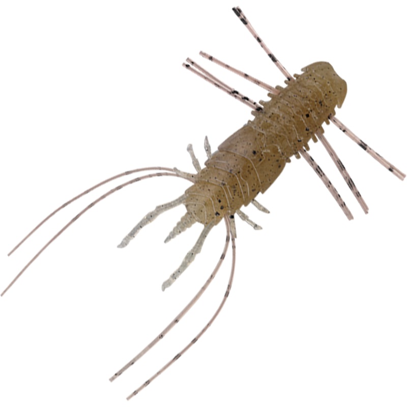 WAMWAM FLARE 48 [Brand New]|GASAGASA SUJIEBI|GASAGASA TENAGA EBI|GREEN PUMPKIN PEPPER|LIGHT PEARL SP|SOLID BLACK|SUPER CHART