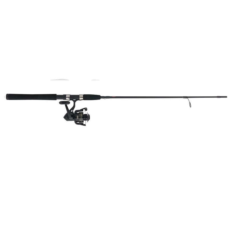 PENN Wrath II 8000 Spinning Reel and Rod Combo
