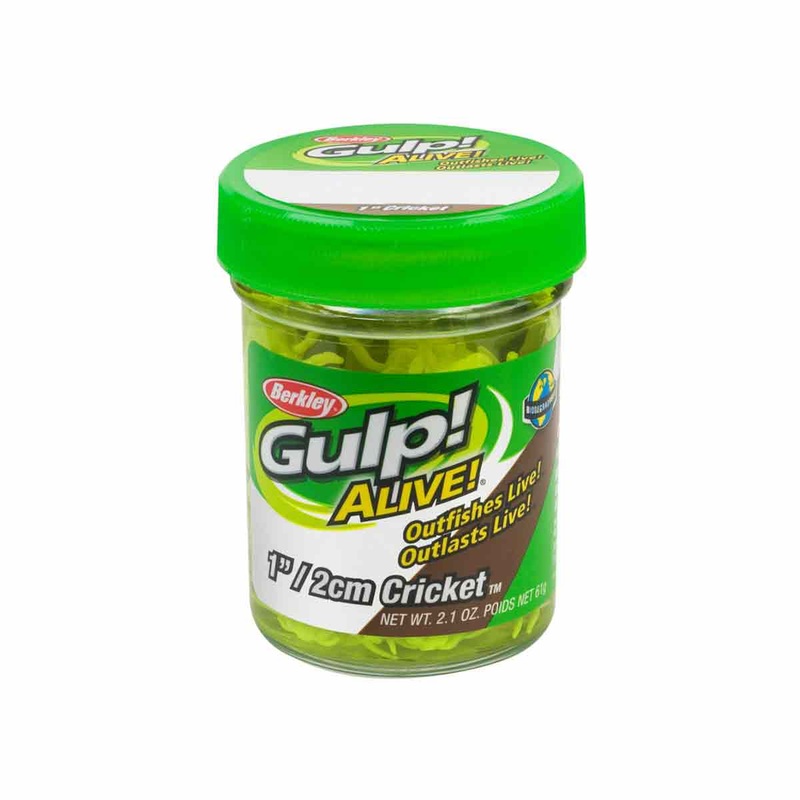 Berkley Gulp! Alive! Cricket|Breen|Cricket Brown|1″