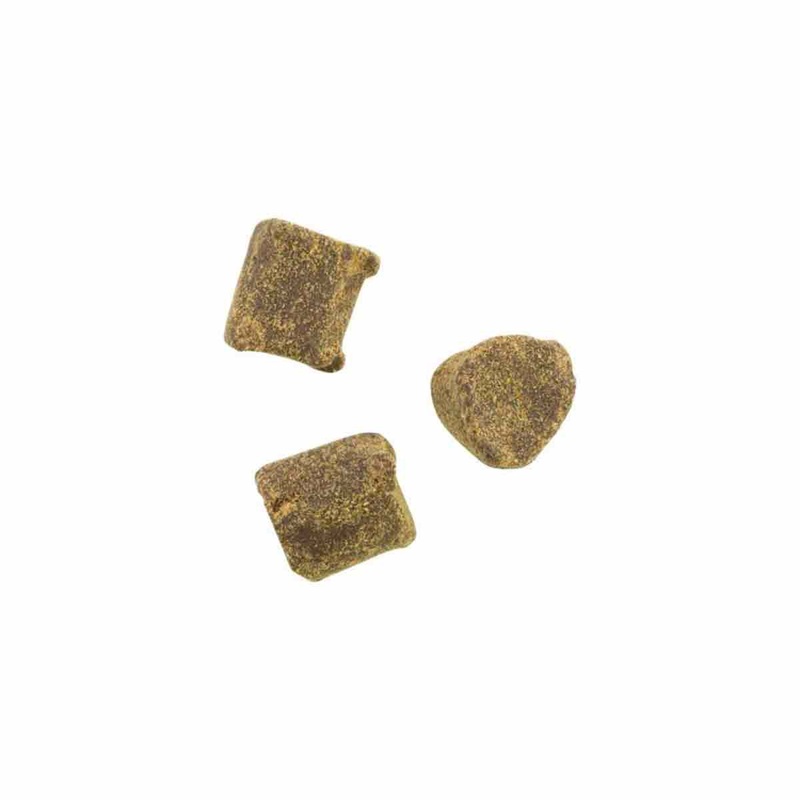 Berkley PowerBait Catfish Bait Chunks