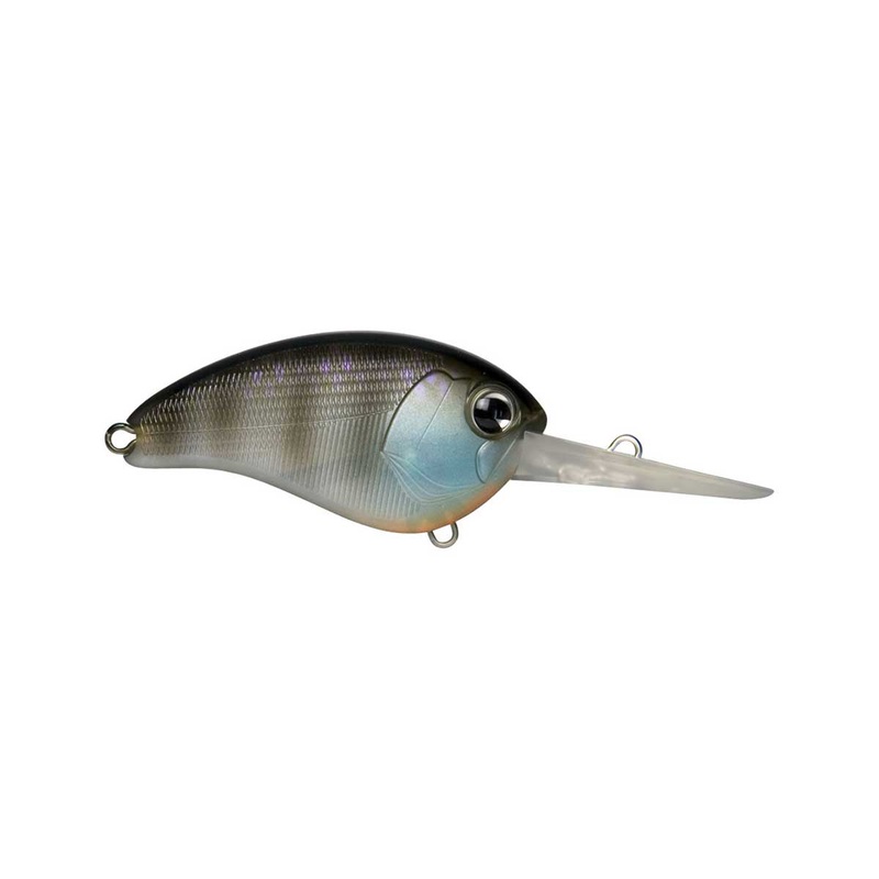 ima-pinjack-200-bluegill-chartreuse-sexy-shad-chartreuse-shad-green-gizzard-shad-hot-craw-lowen-s-hush-hush-tennessee-shad_1 Ima Pinjack 200|Bluegill|Chartreuse Sexy Shad*|Chartreuse Shad|Green Gizzard Shad|Hot Craw*|Lowen’s Hush Hush*|Tennessee Shad