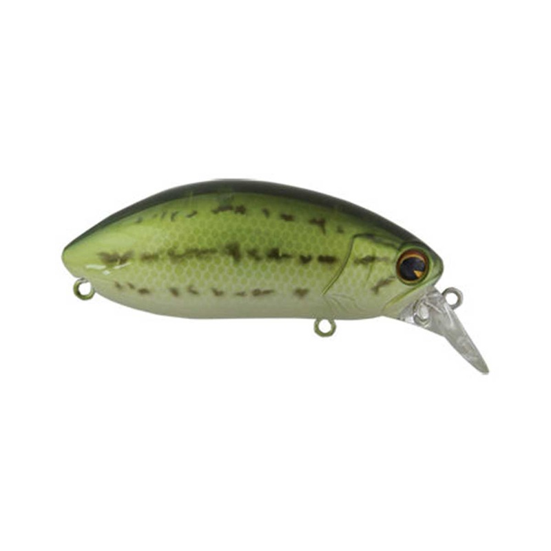 ima-roumba-albino-baby-bass-bluegill-bullfrog-stink-bug-3_1 Ima Roumba|Albino|Baby Bass|Bluegill|Bullfrog|Stink Bug|3″