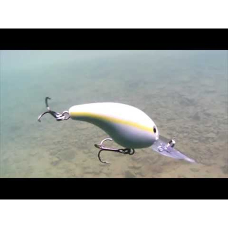 strike-king-pro-model-10xd-crankbait_1 Strike King Pro-Model 10XD Crankbait