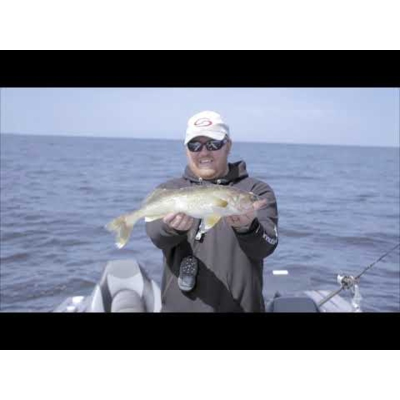 strike-king-rage-swimmer_1 Strike King Rage Swimmer