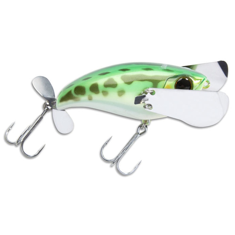 Pompadour_Green Frog|79|Jr.