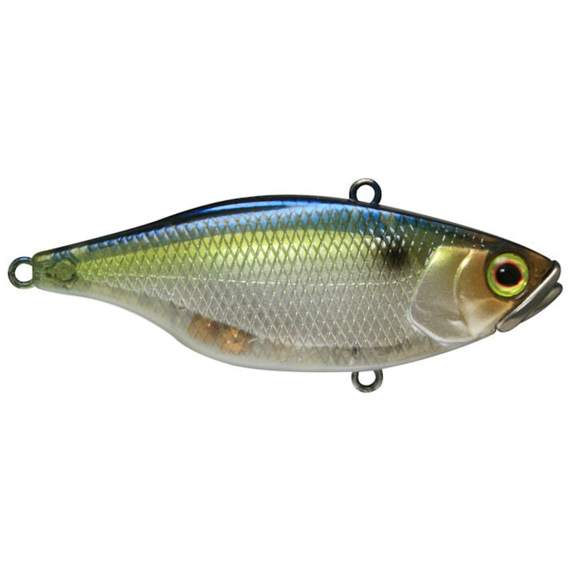 TN Lipless Crankbait_SG Threadfin