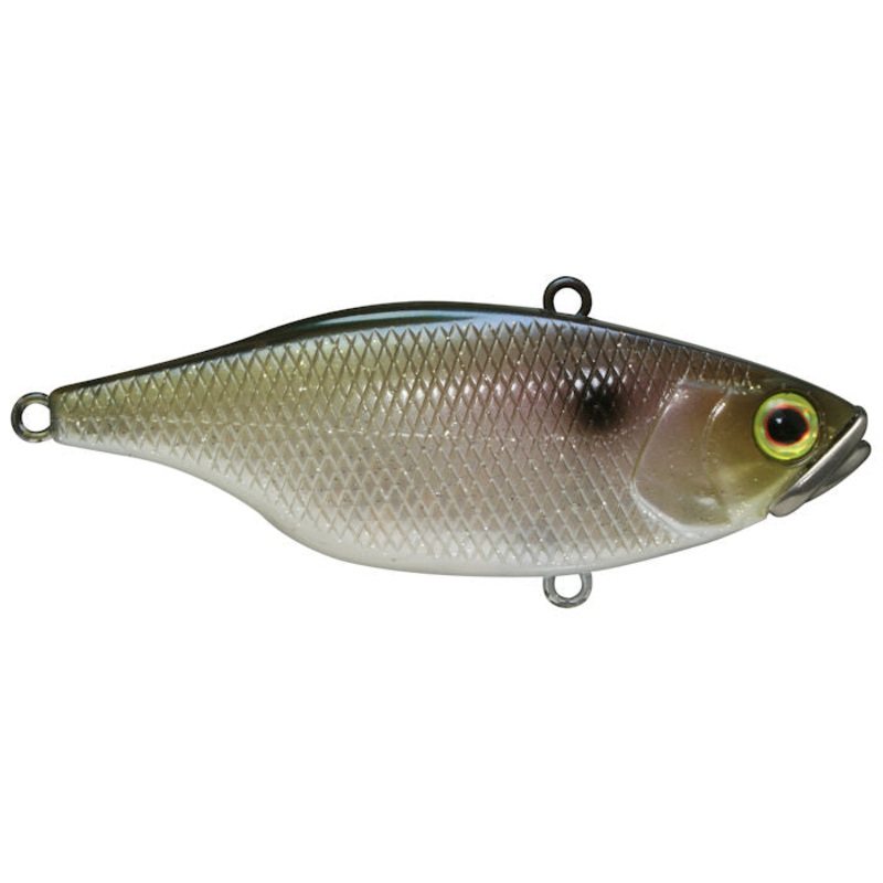 TN Lipless Crankbait_Super Shad