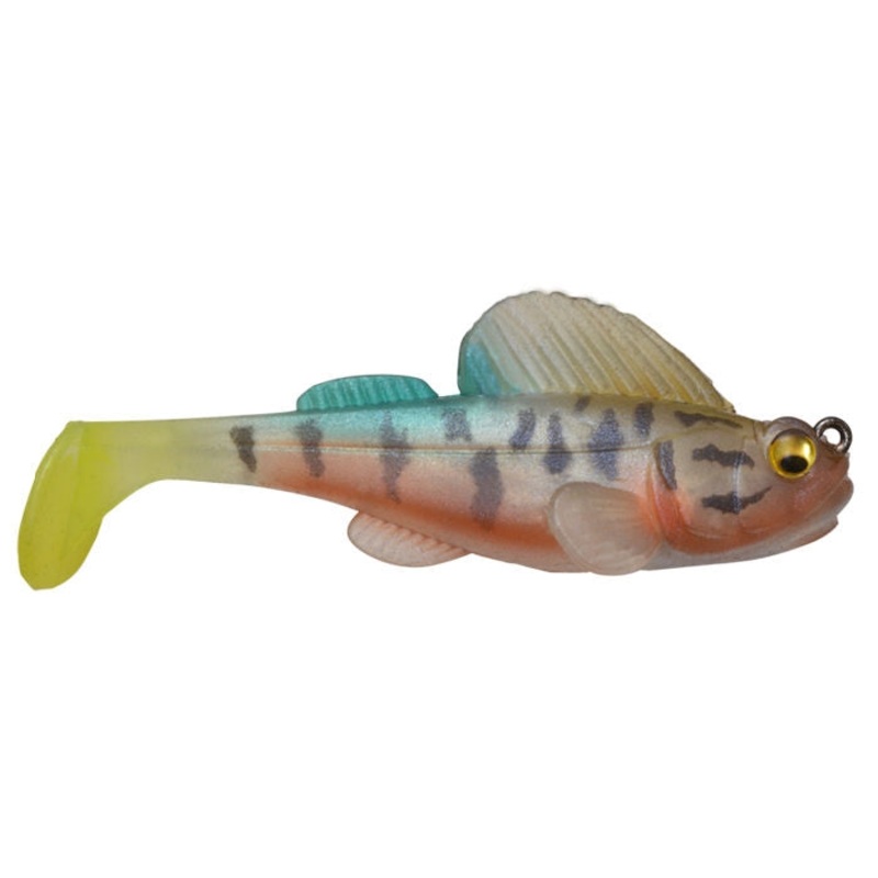 Dark Sleeper_Biwako Yoshinobori